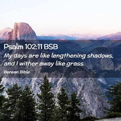 Picture 02 - Psalm 102:11 BSB - My days are like lengthening shadows, and I - Bible Verse Picture