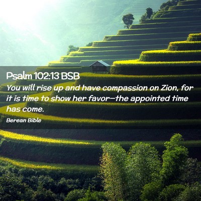 Picture 02 - Psalm 102:13 BSB - You will rise up and have compassion on Zion, for - Bible Verse Picture