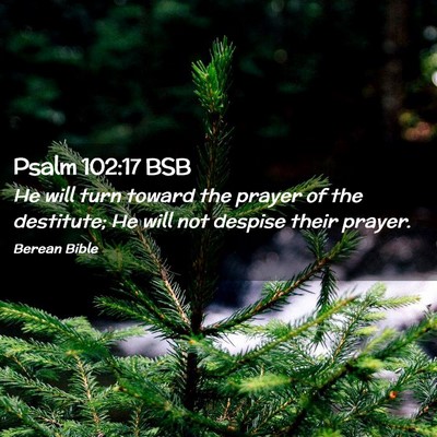 Picture 02 - Psalm 102:17 BSB - He will turn toward the prayer of the destitute; - Bible Verse Picture