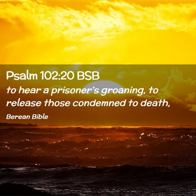 Picture 02 - Psalm 102:20 BSB - to hear a prisoner’s groaning, to release those - Bible Verse Picture