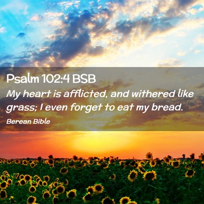 Picture 02 - Psalm 102:4 BSB - My heart is afflicted, and withered like grass; I - Bible Verse Picture