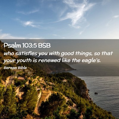 Picture 02 - Psalm 103:5 BSB - who satisfies you with good things, so that your - Bible Verse Picture