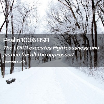 Picture 02 - Psalm 103:6 BSB - The LORD executes righteousness and justice for - Bible Verse Picture