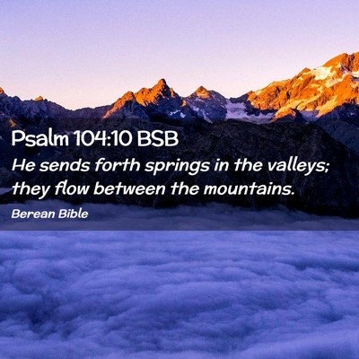 Picture 02 - Psalm 104:10 BSB - He sends forth springs in the valleys; they flow - Bible Verse Picture