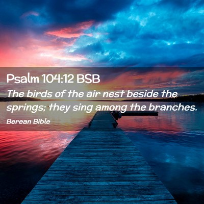 Picture 02 - Psalm 104:12 BSB - The birds of the air nest beside the springs; - Bible Verse Picture