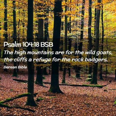 Picture 02 - Psalm 104:18 BSB - The high mountains are for the wild goats, the - Bible Verse Picture