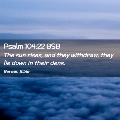 Picture 02 - Psalm 104:22 BSB - The sun rises, and they withdraw; they lie down - Bible Verse Picture
