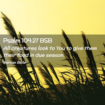Picture 02 - Psalm 104:27 BSB - All creatures look to You to give them their food - Bible Verse Picture