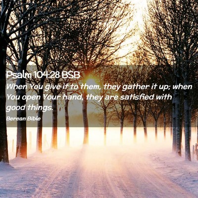 Picture 02 - Psalm 104:28 BSB - When You give it to them, they gather it up; when - Bible Verse Picture