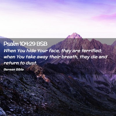 Picture 02 - Psalm 104:29 BSB - When You hide Your face, they are terrified; when - Bible Verse Picture