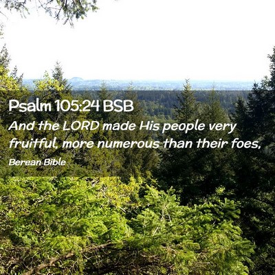 Picture 02 - Psalm 105:24 BSB - And the LORD made His people very fruitful, more - Bible Verse Picture