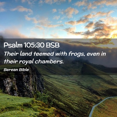Picture 02 - Psalm 105:30 BSB - Their land teemed with frogs, even in their royal - Bible Verse Picture