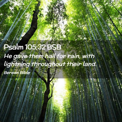 Picture 02 - Psalm 105:32 BSB - He gave them hail for rain, with lightning - Bible Verse Picture