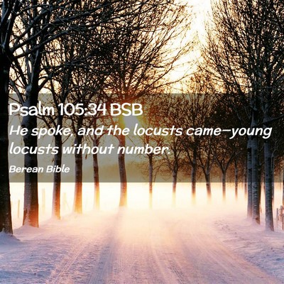 Picture 02 - Psalm 105:34 BSB - He spoke, and the locusts came—young locusts - Bible Verse Picture