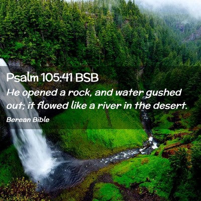 Picture 02 - Psalm 105:41 BSB - He opened a rock, and water gushed out; it flowed - Bible Verse Picture