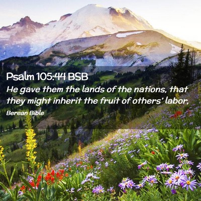 Picture 02 - Psalm 105:44 BSB - He gave them the lands of the nations, that they - Bible Verse Picture