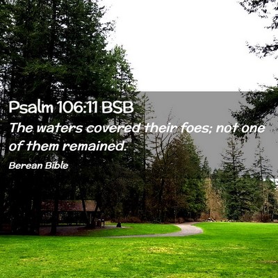 Picture 02 - Psalm 106:11 BSB - The waters covered their foes; not one of them - Bible Verse Picture