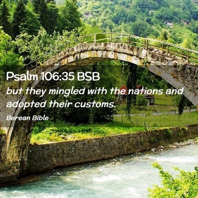 Picture 02 - Psalm 106:35 BSB - but they mingled with the nations and adopted - Bible Verse Picture