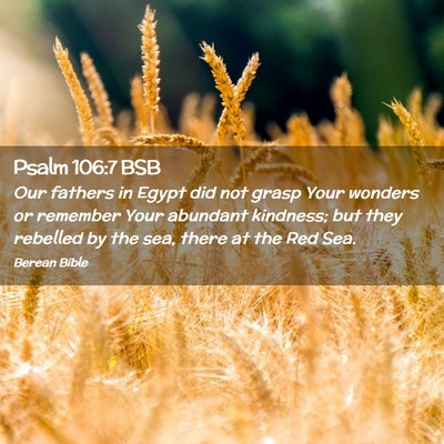 Picture 02 - Psalm 106:7 BSB - Our fathers in Egypt did not grasp Your wonders - Bible Verse Picture