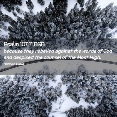 Picture 02 - Psalm 107:11 BSB - because they rebelled against the words of God - Bible Verse Picture