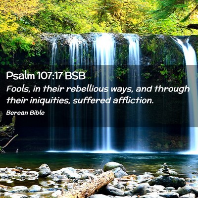Picture 02 - Psalm 107:17 BSB - Fools, in their rebellious ways, and through - Bible Verse Picture