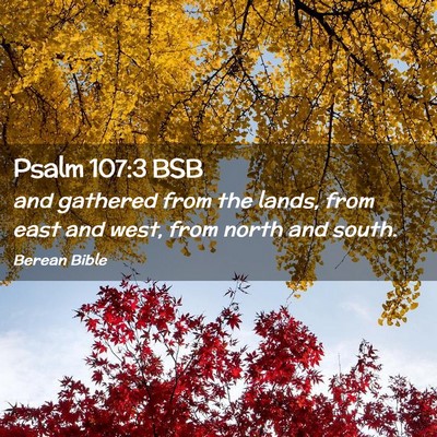 Picture 02 - Psalm 107:3 BSB - and gathered from the lands, from east and west, - Bible Verse Picture