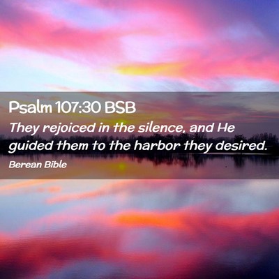 Picture 02 - Psalm 107:30 BSB - They rejoiced in the silence, and He guided them - Bible Verse Picture