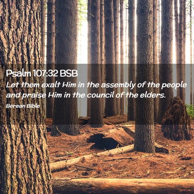 Picture 02 - Psalm 107:32 BSB - Let them exalt Him in the assembly of the people - Bible Verse Picture