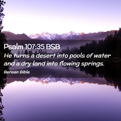 Picture 02 - Psalm 107:35 BSB - He turns a desert into pools of water and a dry - Bible Verse Picture