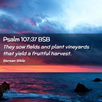 Picture 02 - Psalm 107:37 BSB - They sow fields and plant vineyards that yield a - Bible Verse Picture