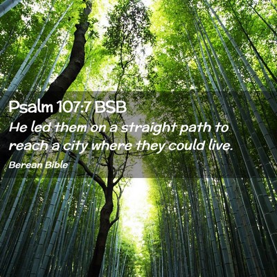 Picture 02 - Psalm 107:7 BSB - He led them on a straight path to reach a city - Bible Verse Picture