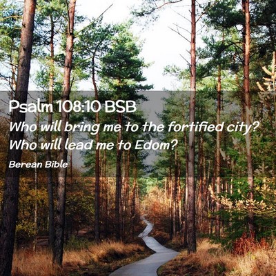 Picture 02 - Psalm 108:10 BSB - Who will bring me to the fortified city? Who will - Bible Verse Picture