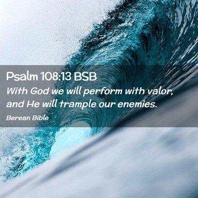 Picture 02 - Psalm 108:13 BSB - With God we will perform with valor, and He will - Bible Verse Picture