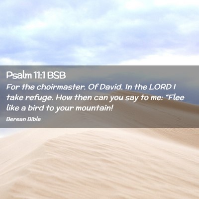 Picture 02 - Psalm 11:1 BSB - For the choirmaster. Of David. In the LORD I take - Bible Verse Picture