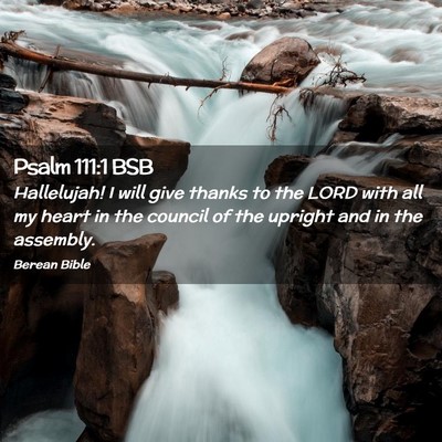 Picture 02 - Psalm 111:1 BSB - Hallelujah! I will give thanks to the LORD with - Bible Verse Picture