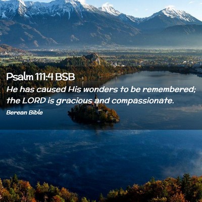 Picture 02 - Psalm 111:4 BSB - He has caused His wonders to be remembered; the - Bible Verse Picture