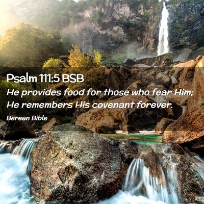 Picture 02 - Psalm 111:5 BSB - He provides food for those who fear Him; He - Bible Verse Picture