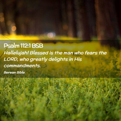 Picture 02 - Psalm 112:1 BSB - Hallelujah! Blessed is the man who fears the - Bible Verse Picture