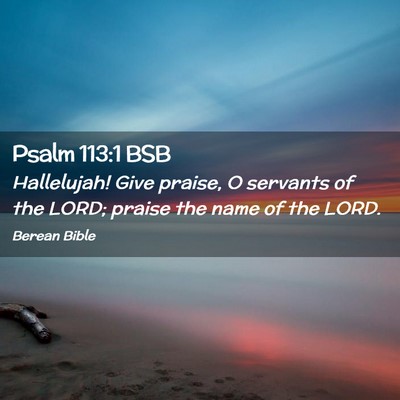 Picture 02 - Psalm 113:1 BSB - Hallelujah! Give praise, O servants of the LORD; - Bible Verse Picture