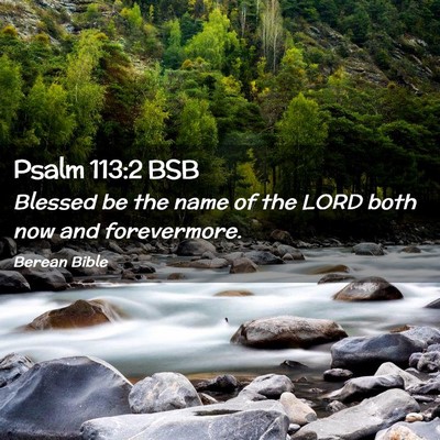 Picture 02 - Psalm 113:2 BSB - Blessed be the name of the LORD both now and - Bible Verse Picture