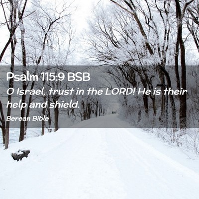 Picture 02 - Psalm 115:9 BSB - O Israel, trust in the LORD! He is their help and - Bible Verse Picture