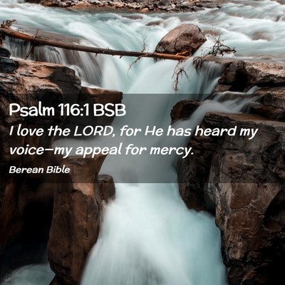 Picture 02 - Psalm 116:1 BSB - I love the LORD, for He has heard my voice—my - Bible Verse Picture