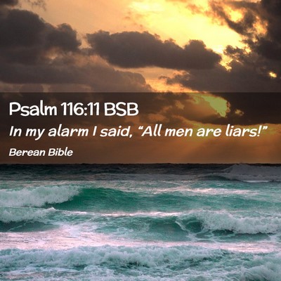 Picture 02 - Psalm 116:11 BSB - In my alarm I said, “All men are - Bible Verse Picture