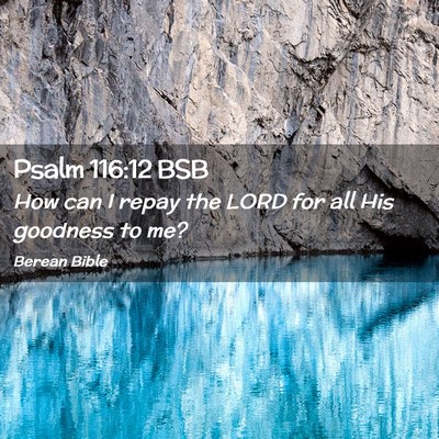 Picture 02 - Psalm 116:12 BSB - How can I repay the LORD for all His goodness to - Bible Verse Picture