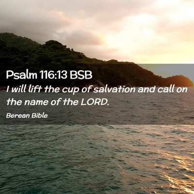 Picture 02 - Psalm 116:13 BSB - I will lift the cup of salvation and call on the - Bible Verse Picture