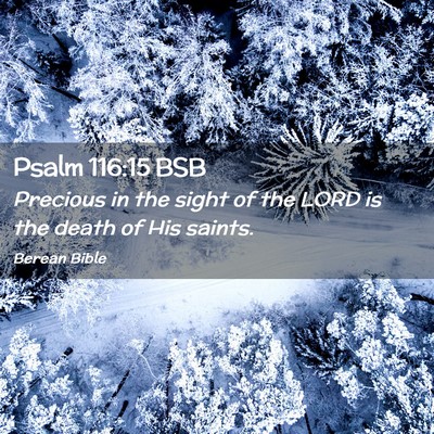 Picture 02 - Psalm 116:15 BSB - Precious in the sight of the LORD is the death of - Bible Verse Picture