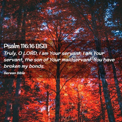 Picture 02 - Psalm 116:16 BSB - Truly, O LORD, I am Your servant; I am Your - Bible Verse Picture