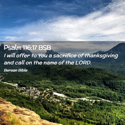 Picture 02 - Psalm 116:17 BSB - I will offer to You a sacrifice of thanksgiving - Bible Verse Picture