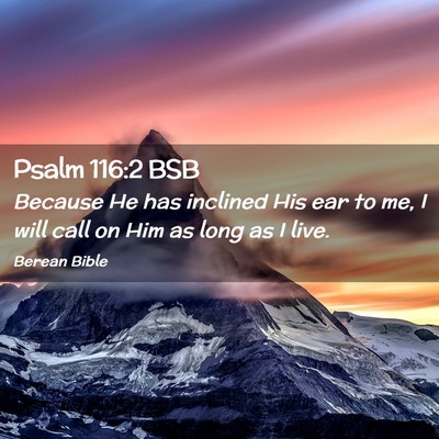 Picture 02 - Psalm 116:2 BSB - Because He has inclined His ear to me, I will - Bible Verse Picture