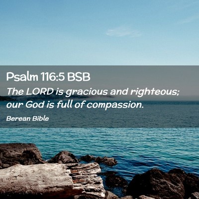 Picture 02 - Psalm 116:5 BSB - The LORD is gracious and righteous; our God is - Bible Verse Picture